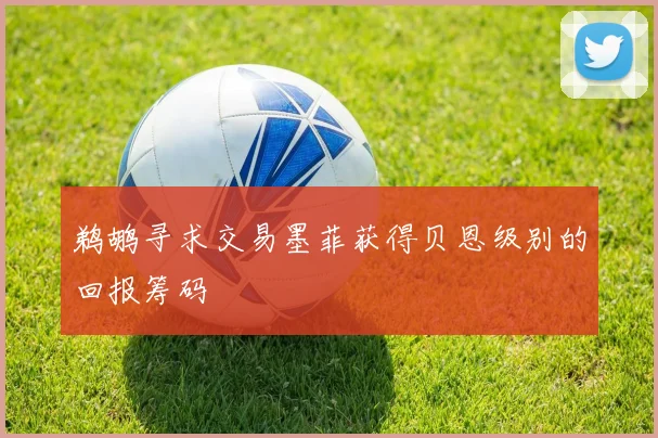 鹈鹕寻求交易墨菲获得贝恩级别的回报筹码